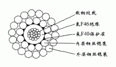 FL-WGSF46-8.00mm防硫型单芯氟塑料双钢丝铠装承荷探测365彩票app下载不了_365bet下注_365bet假网站