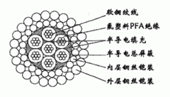 W7PFAPP-12.04mm氟塑料PFA绝缘双钢丝铠装承荷探测365彩票app下载不了_365bet下注_365bet假网站