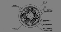 计算机365彩票app下载不了_365bet下注_365bet假网站型号规格参数