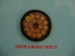 CEFR 0.6/1KV 18*2.5船用365彩票app下载不了_365bet下注_365bet假网站