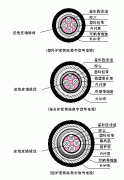 机车数字信号线铁路数字信号365彩票app下载不了_365bet下注_365bet假网站