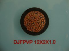 DJFPVP 0.3/0.5KV 12*2*1.0 计算机屏蔽365彩票app下载不了_365bet下注_365bet假网站